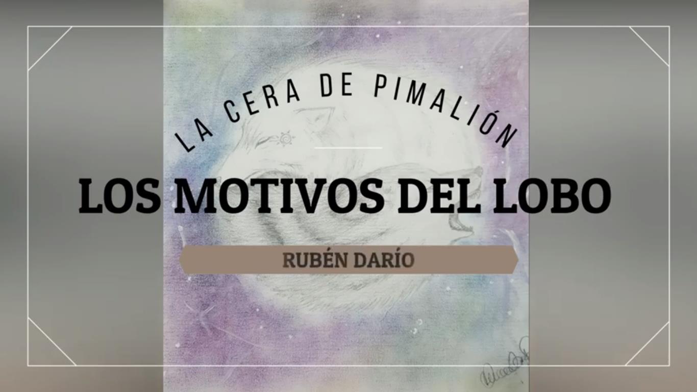 Los motivos del lobo│Narración