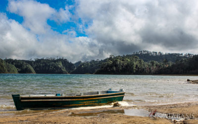 La casa de los peces